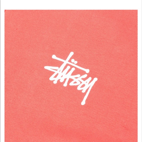 Stussy Basic Zip Up Hoodie Pale Red - Picture 4 of 4